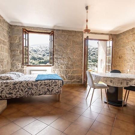 Spacieux Studio, Coeur De Sartene Kültér fotó